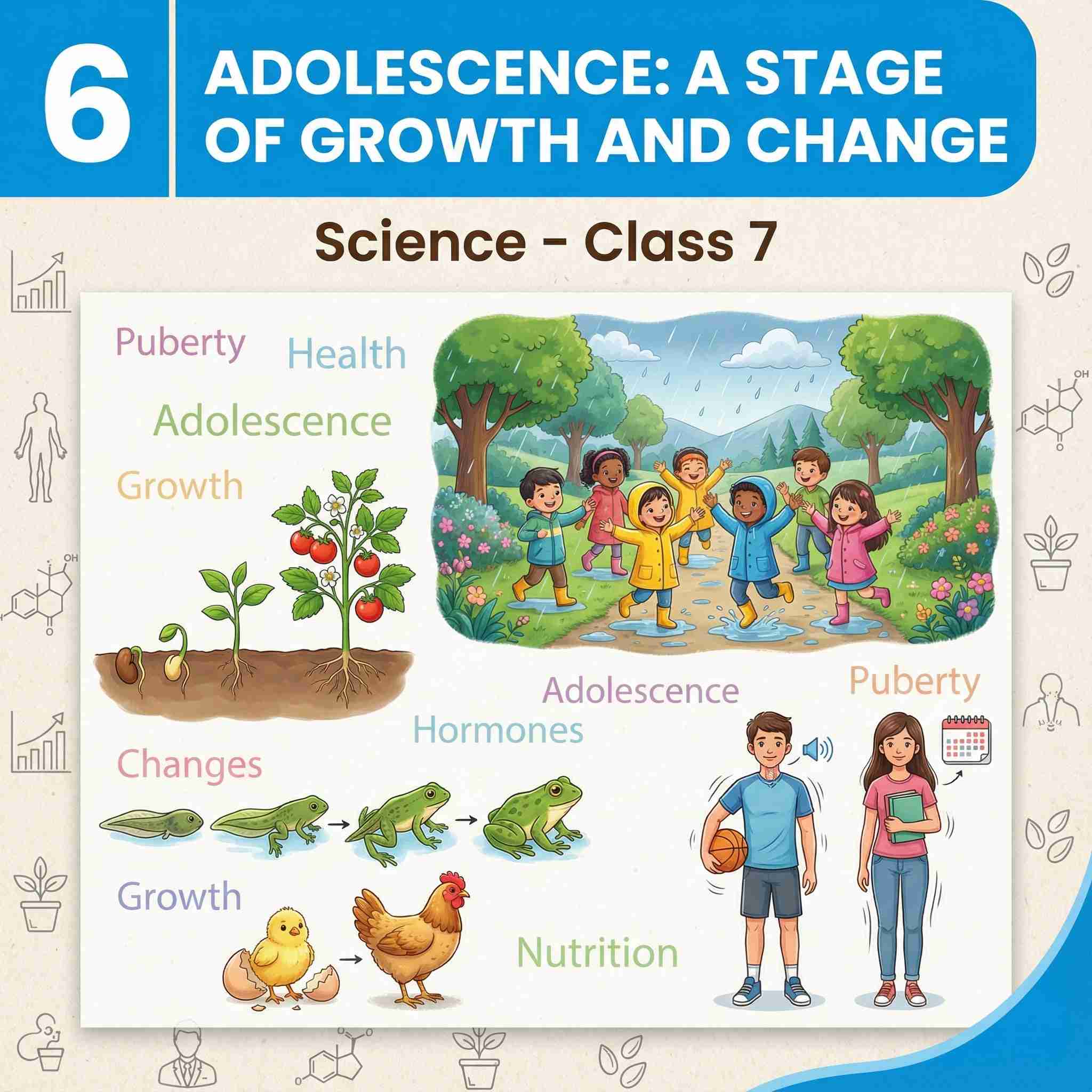 Class 7 Science Chapter 6: Adolescence A Stage of Growth and Change | Complete NCERT Notes, Activities, 25+ Questions & Answers