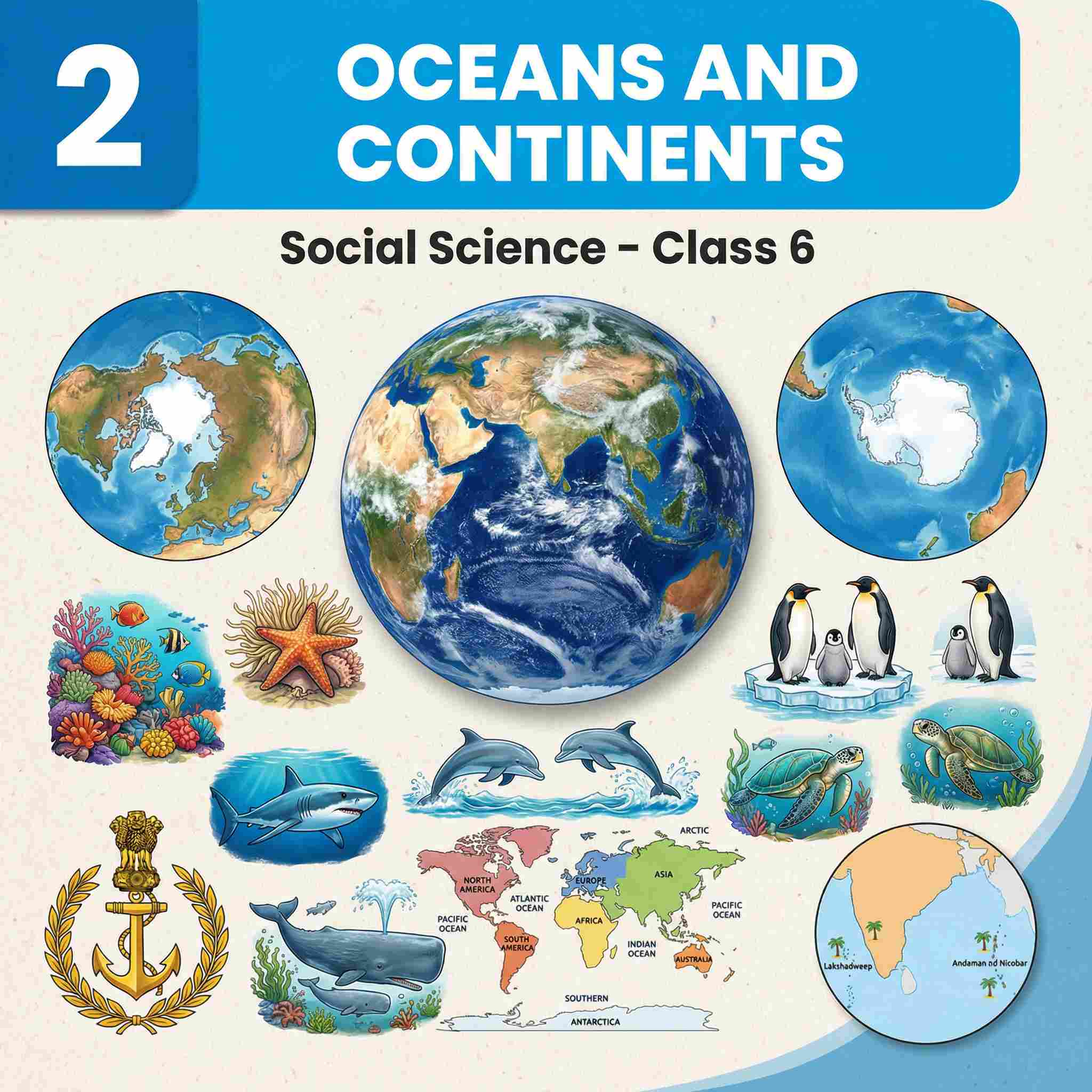 Complete Summary and Solutions for Oceans and Continents – NCERT Class VI Social Science, Chapter 2 – Distribution, Features, Impact on Life, Questions, Answers