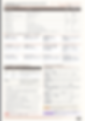 Blurred preview of page 2