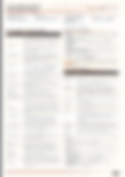 Blurred preview of page 3