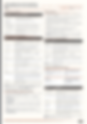 Blurred preview of page 5