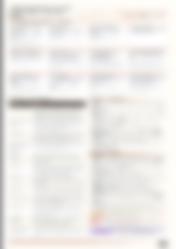 Blurred preview of page 2