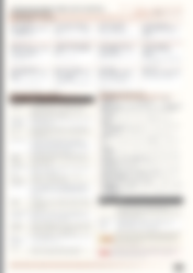 Blurred preview of page 3