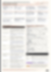 Blurred preview of page 6