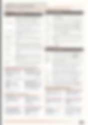 Blurred preview of page 2