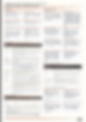 Blurred preview of page 3