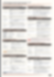 Blurred preview of page 2