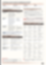 Blurred preview of page 2