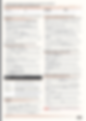 Blurred preview of page 2